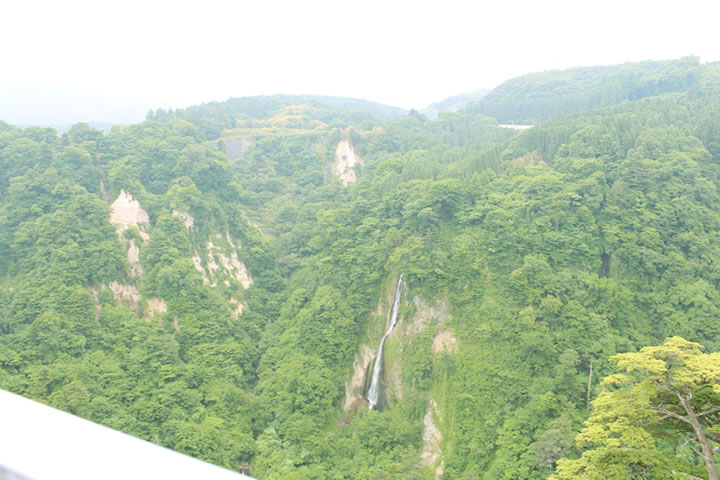 九重"夢"大吊橋からの撮影、緑が新鮮