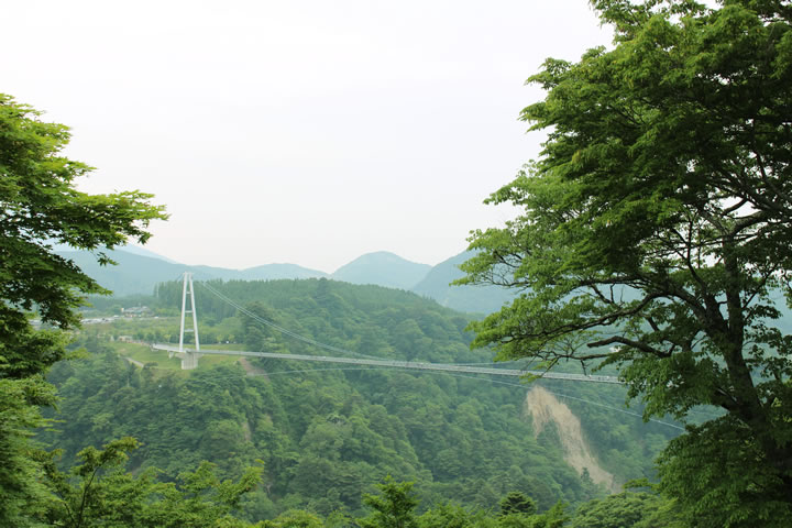 白蛇神社の帰り道から見える九重"夢"大吊橋