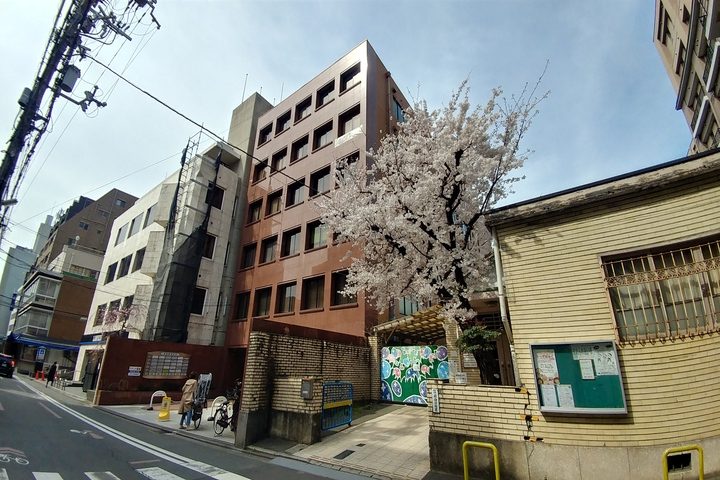 京都事務所_春の風景
